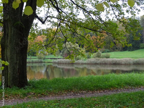 Autumn landscape with pond and trees 