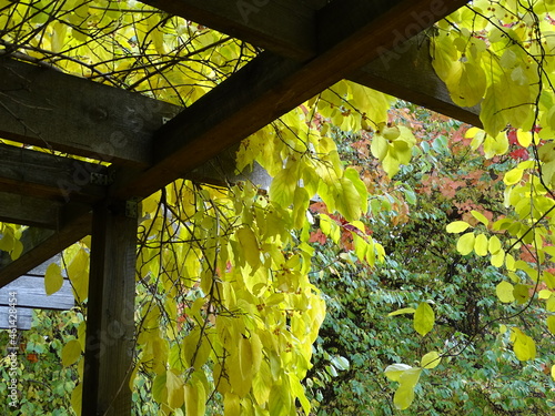 Fragment of an open wooden terrace and autumn leaves