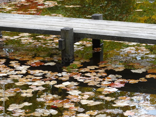 Wooden footbridge and water in which yellow autumn leaves float
