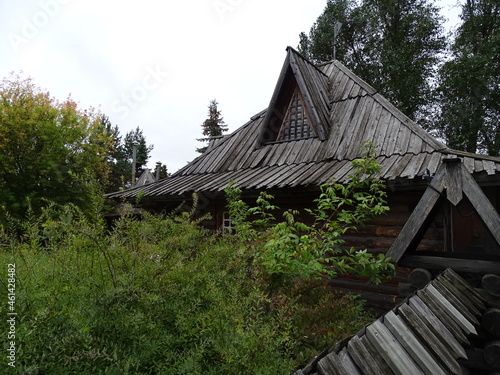 Fragment of a wooden house among green trees and bushes