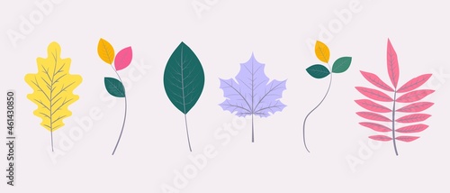 Colourful autumn leaves for any project. Isolated leaves. Oak, rowan, maple, beech leaves.