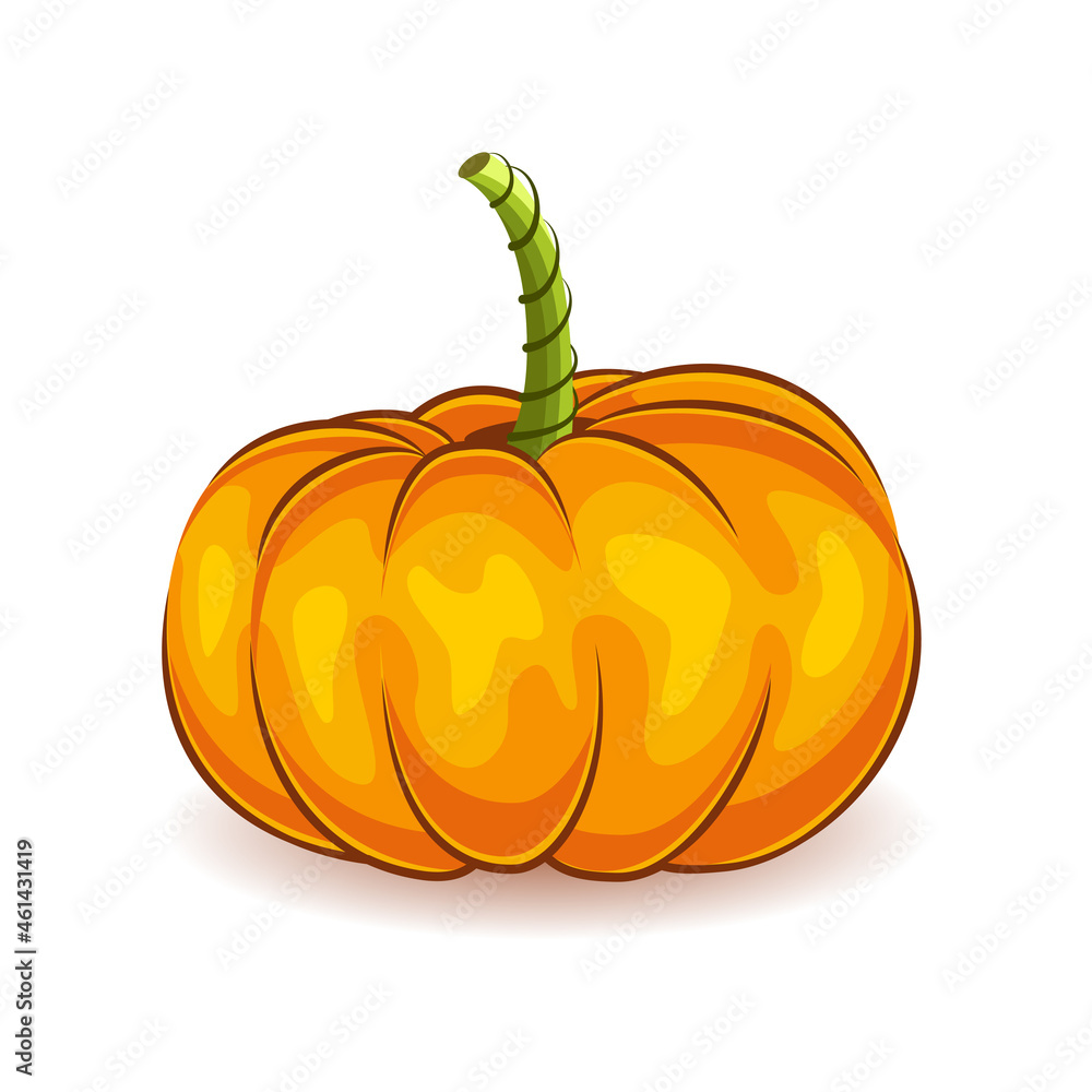 orange pumpkin. Vegetable. The main symbol of the holiday is Halloween. Vector illustration isolated on white background. orange pumpkin. Vegetable. The main symbol of the holiday is Halloween. Vector illustration isolated on white background.