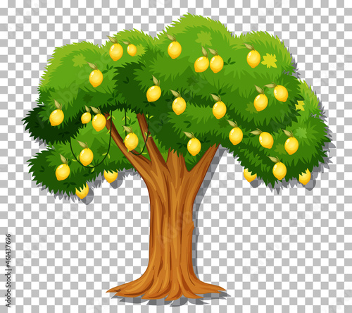 Lemon tree on transparent background
