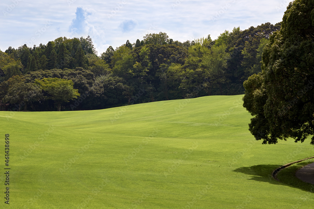 Fototapeta premium Grass field / course with forest and cloudy sky in the background.