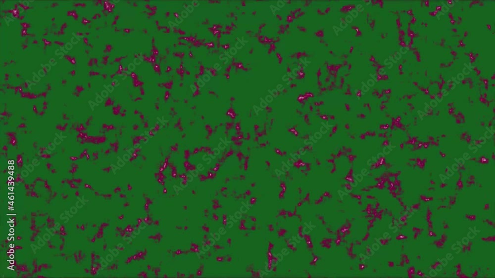 Green Pink Wavy Reflection Surface Macro. Trendy Colorful Fluid Abstraction Flow. Beautiful Gradient Texture Green Pink Wavy Reflection Surface Macro. Trendy Colorful Fluid Abstraction Flow. Beautiful Gradient Texture