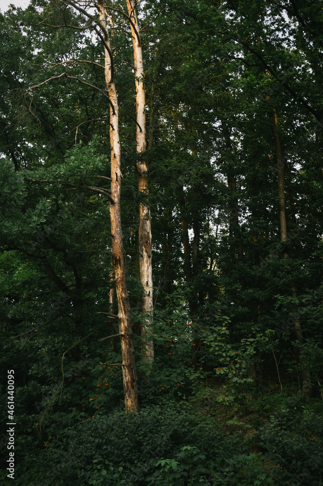 Fototapeta premium Exploring roads less ridden, little adventures around hometown