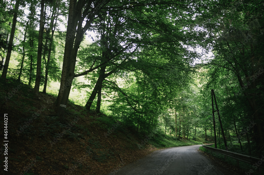 Obraz premium Exploring roads less ridden, little adventures around hometown