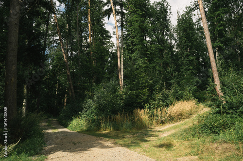 Exploring roads less ridden, little adventures around hometown photo