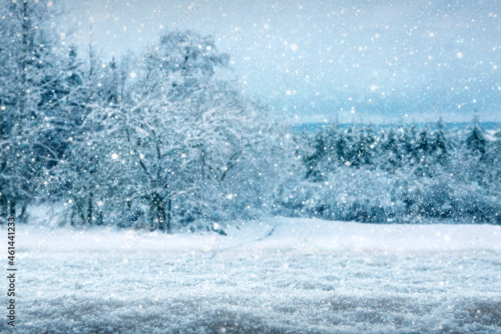 Winter landscape with fir trees covered with white snow . Winter landscape with fir trees covered with white snow .