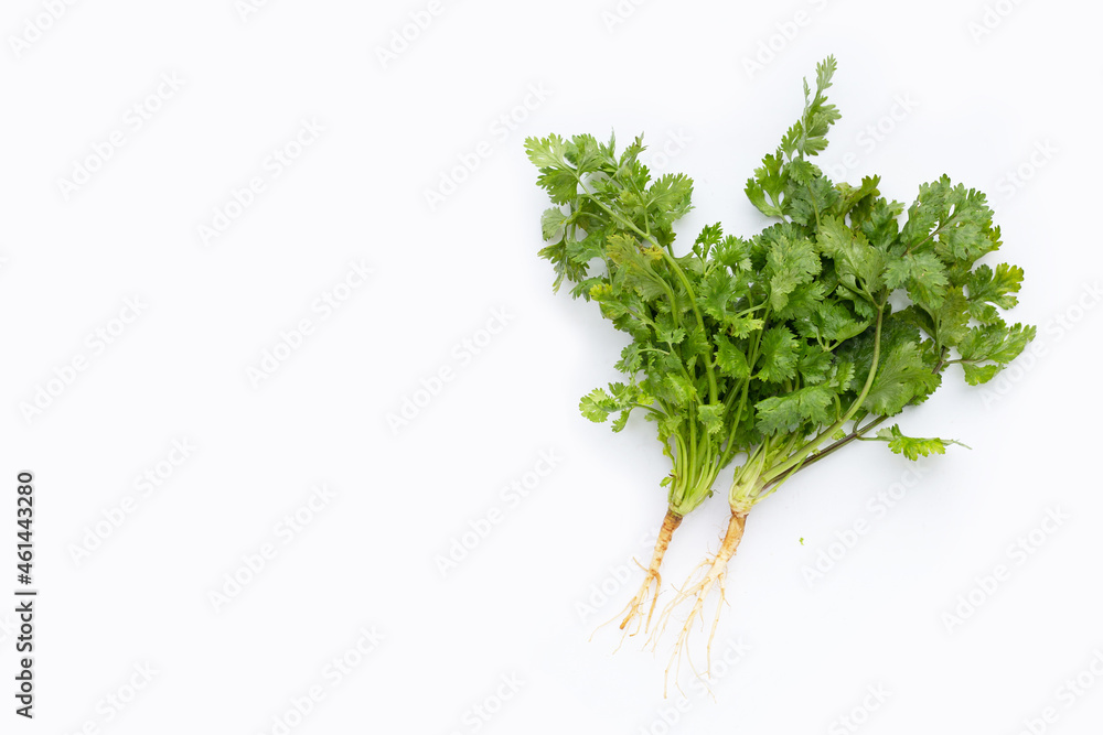 Fresh coriander on white background. Fresh coriander on white background.