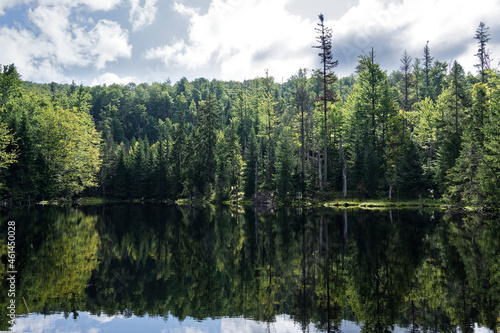 lake in the bavarian forest