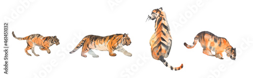 Foto Watercolor painting of tigers. collection