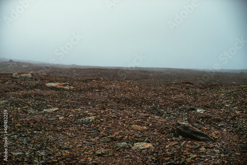 Stone field in dense fog in highlands. Empty stone desert in thick fog. Zero visibility in mountains. Minimalist nature background. Dark atmospheric foggy mountain landscape. Lichens on sharp stones.