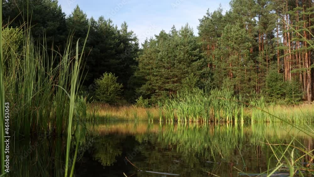 Small lake with ripple water in the forest at sunset, the surrounding nature is reflected on surface. Small lake with ripple water in the forest at sunset, the surrounding nature is reflected on surface.