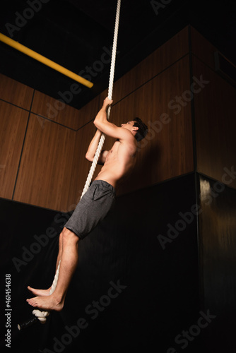 full length view of shirtless barefoot sportsman climbing on gymnastic rope in gym.