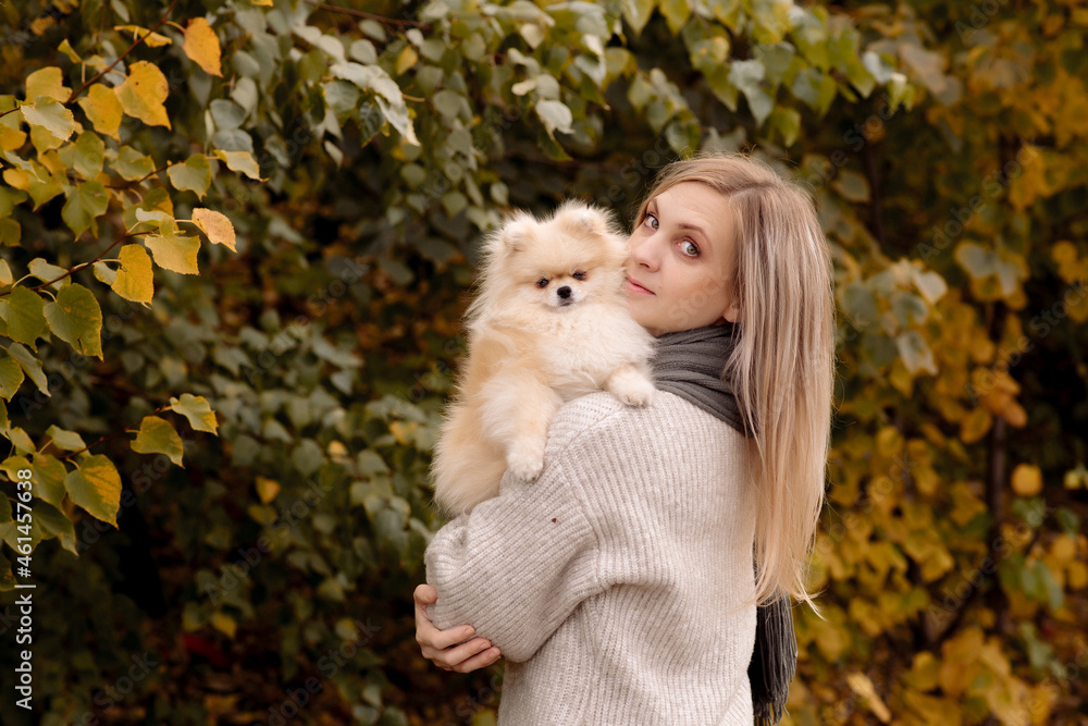 A young blonde woman holds pomeranian puppies in her arms on a walk in the autumn park
A young blonde woman holds pomeranian puppies in her arms on a walk in the autumn park