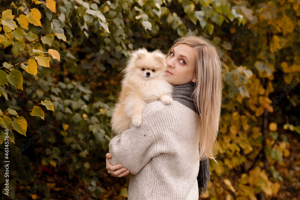 A young blonde woman holds pomeranian puppies in her arms on a walk in the autumn park
A young blonde woman holds pomeranian puppies in her arms on a walk in the autumn park