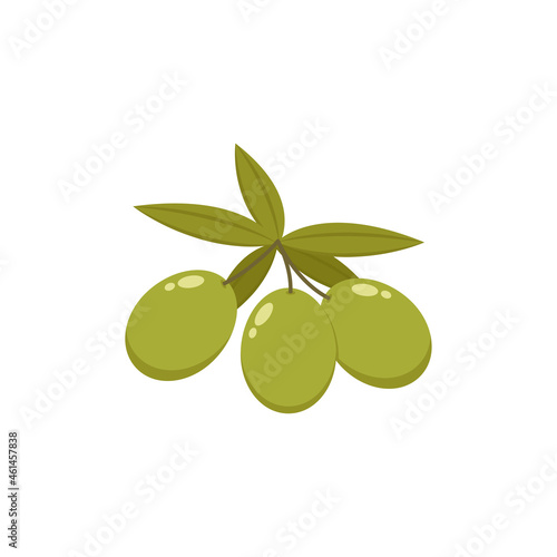 Olive vector. Olive on white background. wallpaper. free space for text. copy space.