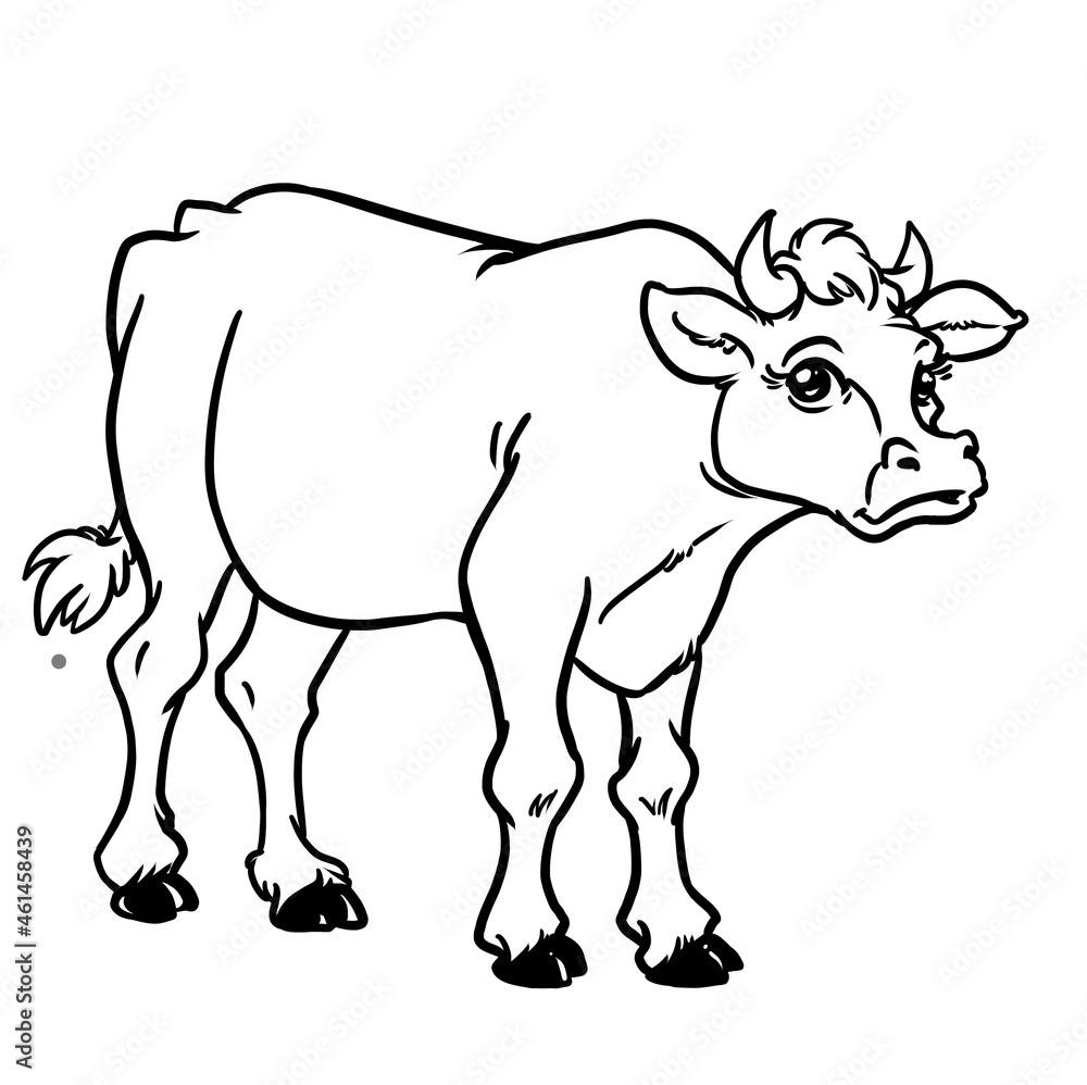 Big bull black and white outline illustration cartoon character animal isolated image