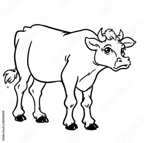 Big bull black and white outline illustration cartoon character animal isolated image