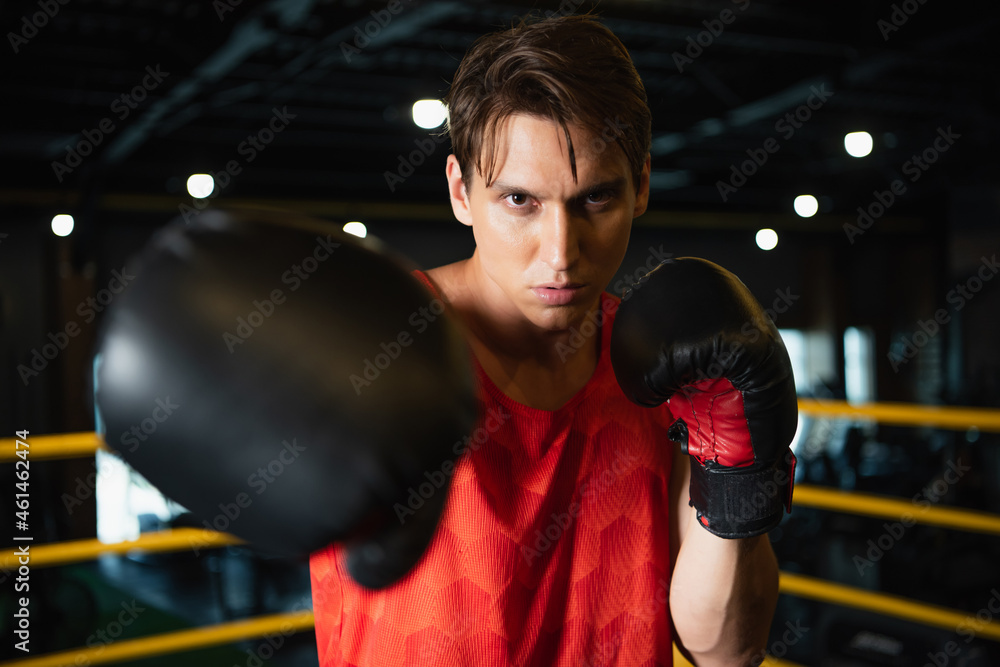 boxer looking at camera while working out in gym on blurred foreground.