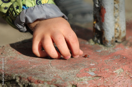 the child is catching a beetle