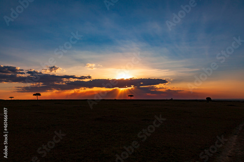 Awesome sunset in the Masai Mara savannah in Africa