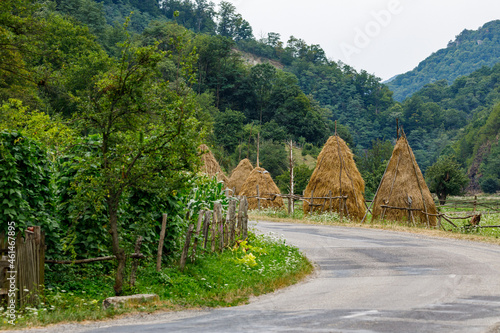 Landscape of the National park Domogled Valea Cernei in romania photo