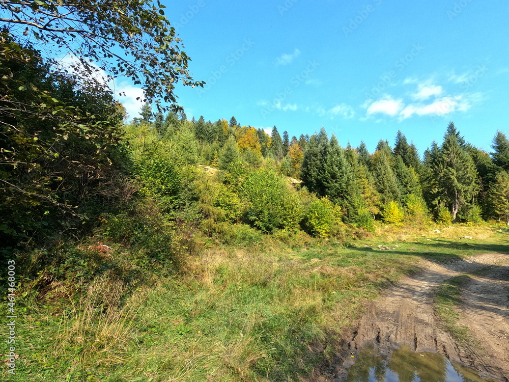 Carpatian landscape. mountain and forest Carpatian landscape. mountain and forest