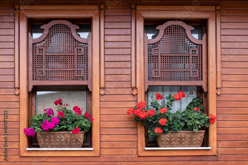 window with flowers