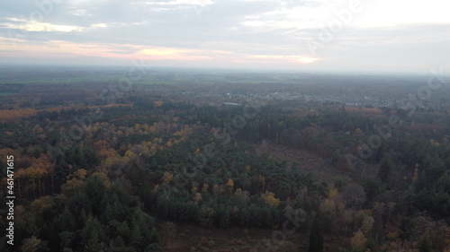 Forest View Netherlands Autumn