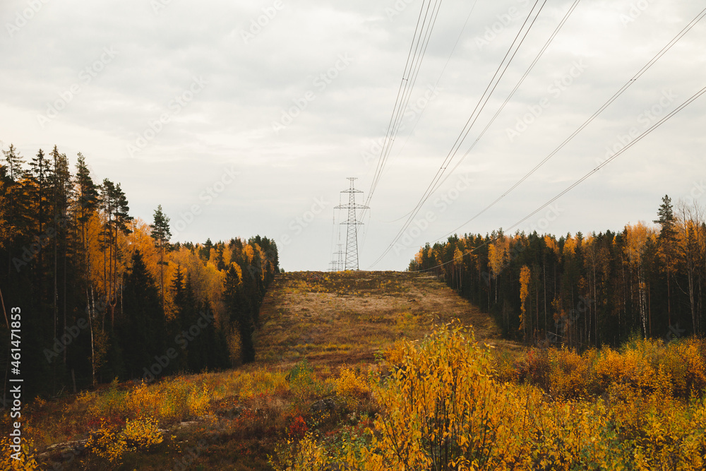 Power line in the forest. Clearing for high-voltage towers Stock Photo ...