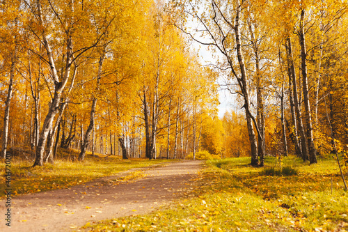 A path in the autumn park. Autumn walks in the park, fallen yellow foliage, healthy lifestyle, fresh air