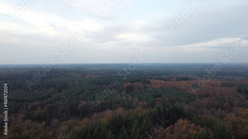 Forest View Netherlands Autumn