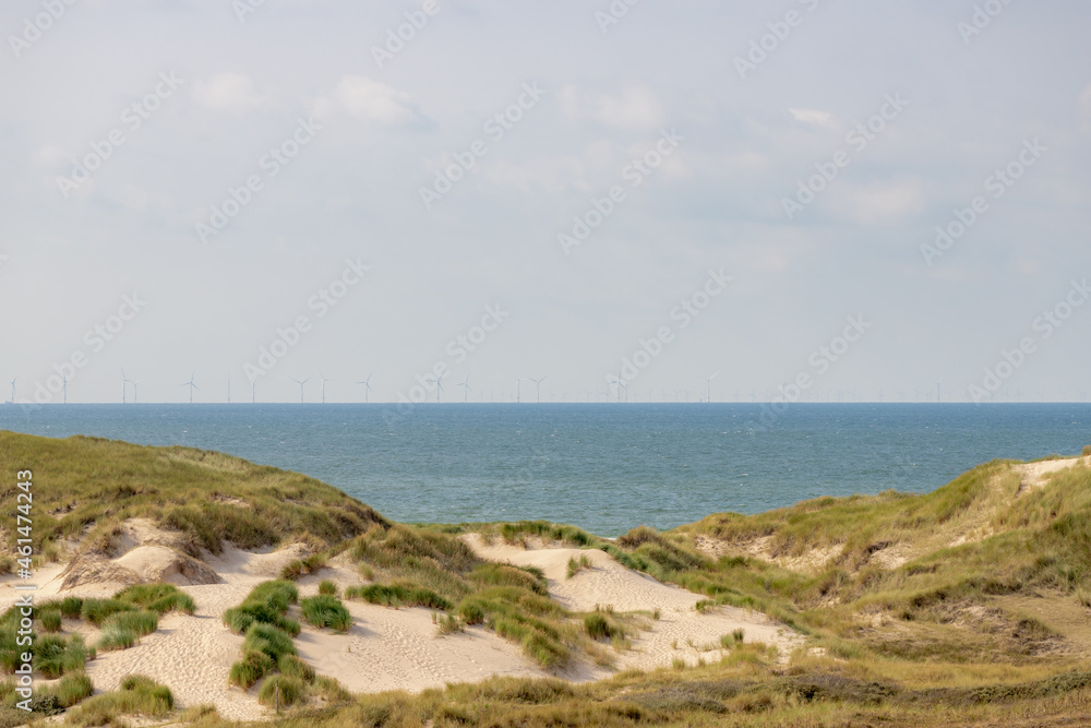 Summer landscape, Overview from the dunes or dyke at Dutch north sea coastline with european marram grass (beach grass) along the dyke, Blurred wind turbine farm in the sea, Noord Holland, Netherlands
