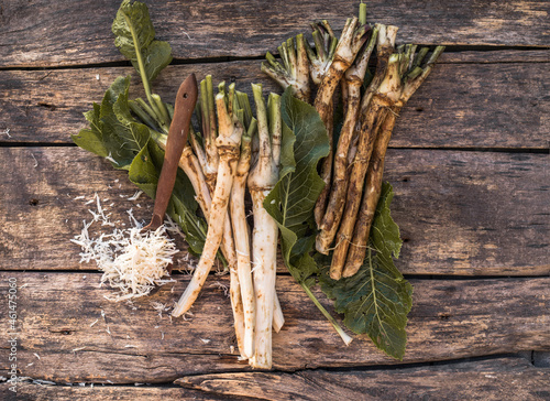Foto Fresh, dug-out root horseradish with leaves on the pile