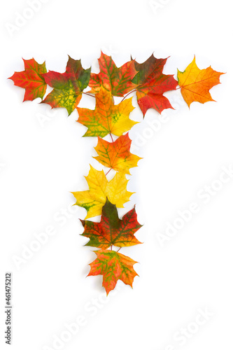 Letter T of colorful autumnal maple leaves on white background. Top view, flat lay