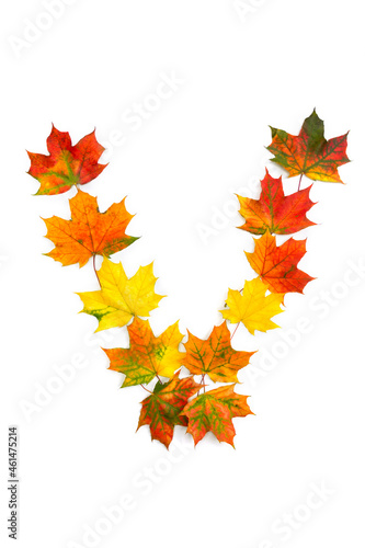 Letter V of colorful autumnal maple leaves on white background. Top view, flat lay