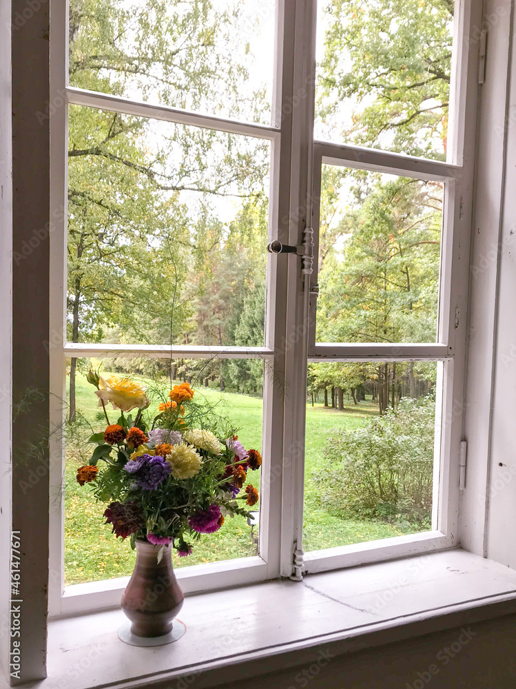 Windows with a beautiful view of the forest Windows with a beautiful view of the forest