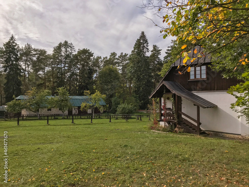 Beautiful houses in the forest in the Polenov estate