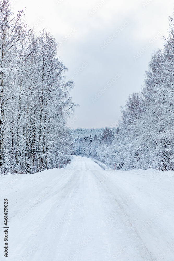 Magical winter landscape. Snow cowered trees. Winter in Finland Magical winter landscape. Snow cowered trees. Winter in Finland