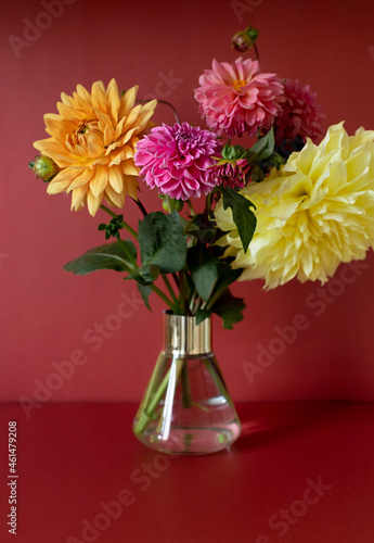 Fototapeta Naklejka Na Ścianę i Meble -  Colorful orange and pink dahlia flowers bouquet in a vase on the red background