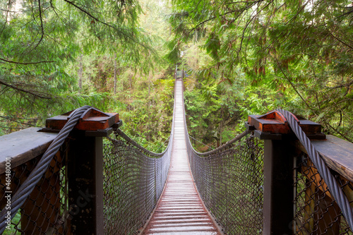 Lynn Canyon Suspension Bridge