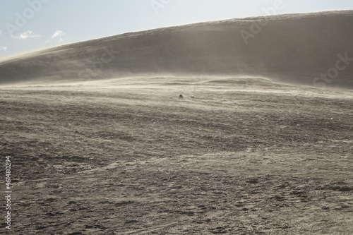 Sandstorm in the dunes of Rubjerg Knude on a sunny day, Jammerbugt, Lonstrup, Hjorring, Northern Jutland, Denmark 