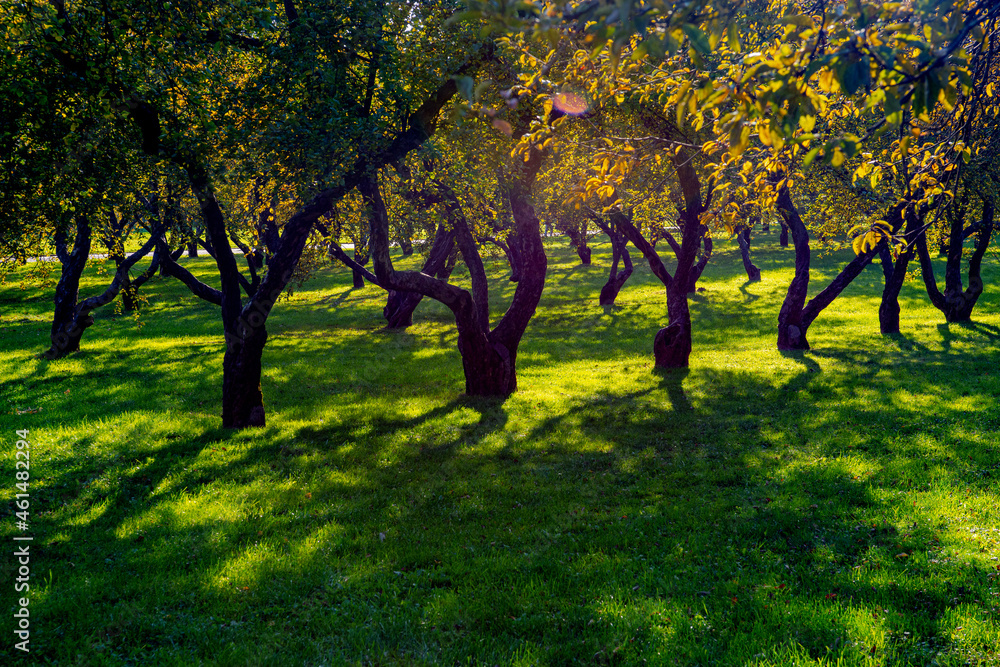 Naklejka premium Autumn city park, octomber