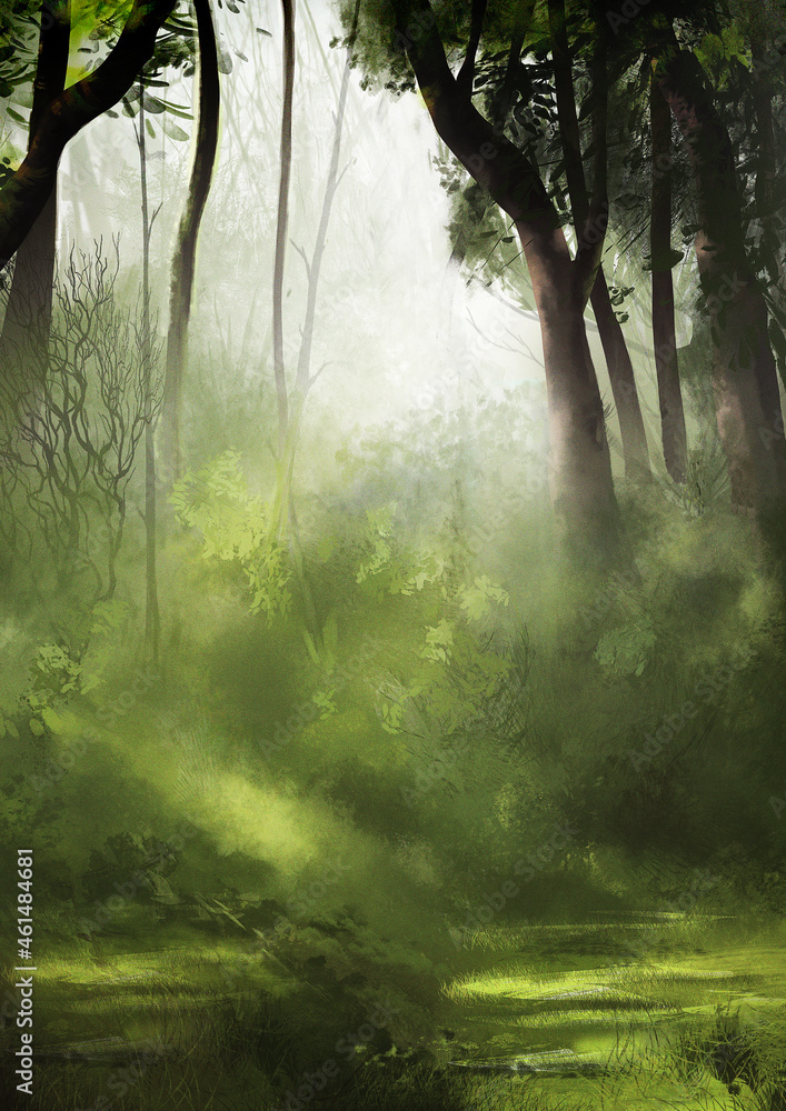 Obraz premium Morning forest illustration