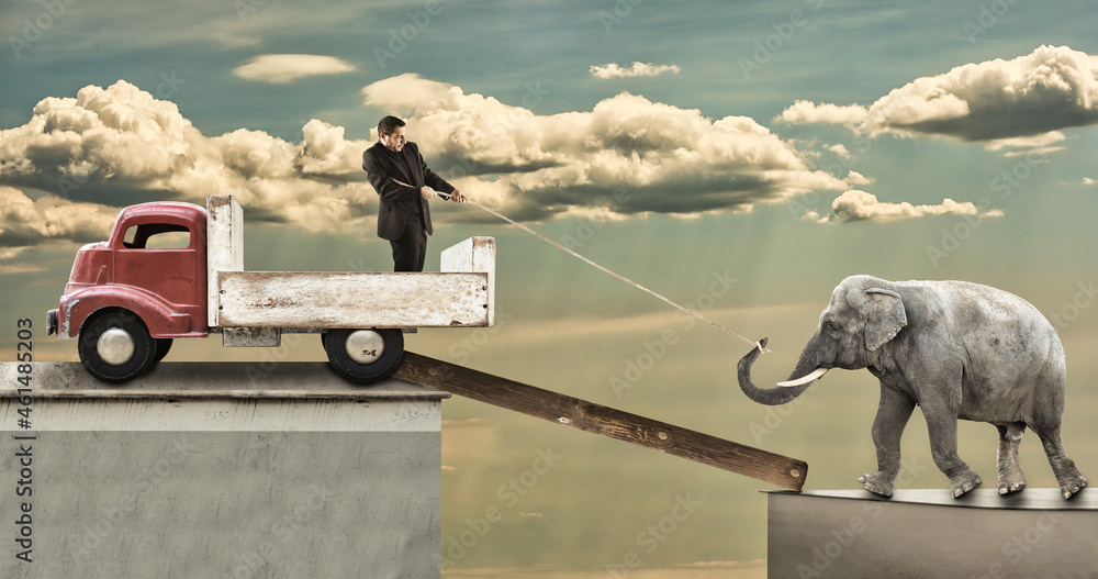 A man using a rope tries to pull an elephant onto the pickup - obrazy, fototapety, plakaty 