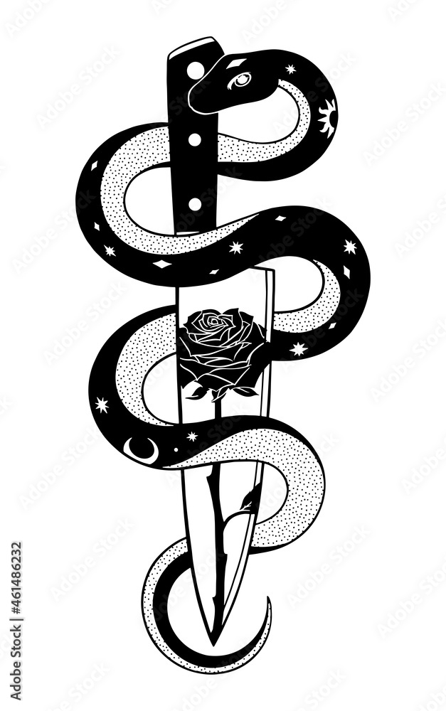 Obraz premium Snake Knife Rose