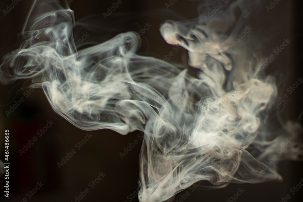 Fototapeta premium Smoke in natural light. Tobacco smoke fills the air. Clubs of steam in space.
