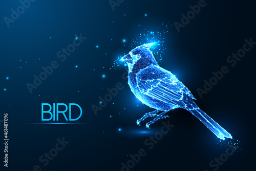 Abstract glowing Cardinal bird made of lines and stars isolated on dark blue